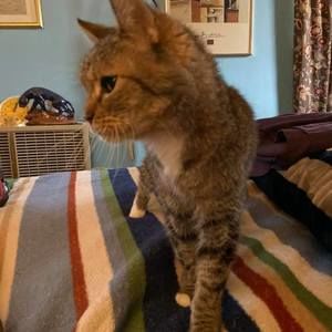 Meet your Posher, Erica